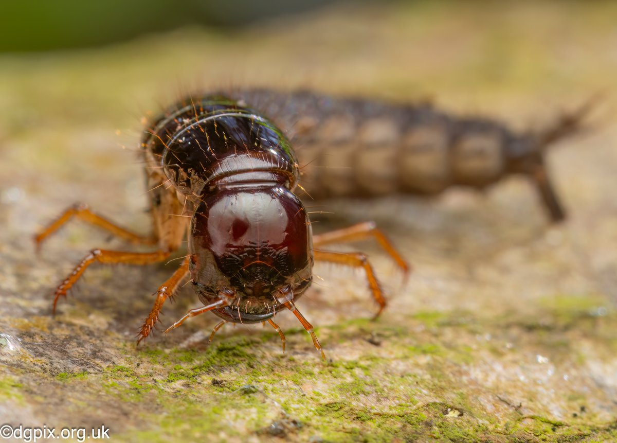 DW6A7309-Edit-Edit